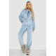 Спортивний костюм жіночий велюровий, колір блакитний, 238R107-1