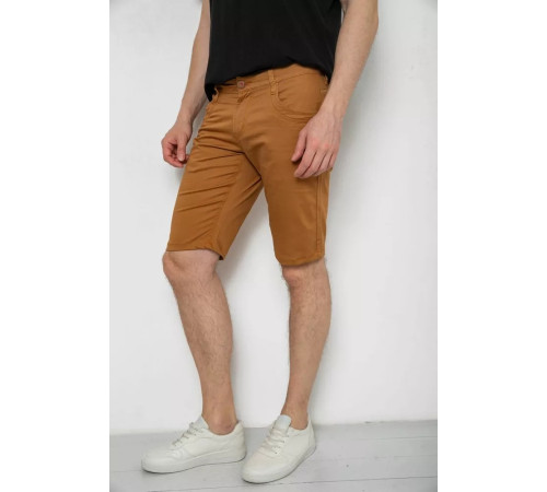 Шорти чоловічі однотонні, колір коричневий, 238R2466