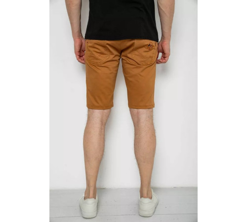 Шорти чоловічі однотонні, колір коричневий, 238R2466