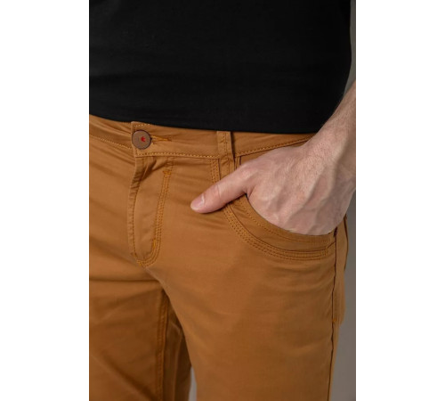 Шорти чоловічі однотонні, колір коричневий, 238R2466