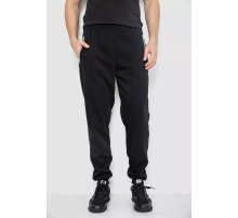 Спортивные брюки мужские на флисе, цвет черный, 244R4643