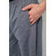 Спорт брюки мужские, цвет серый, 244R10018