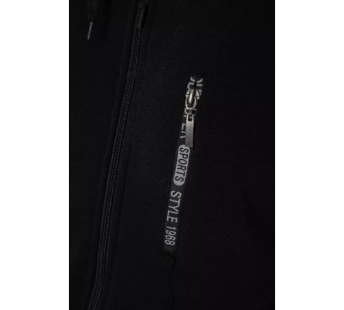 Кофта мужская на флисе с капюшоном 244R2563, цвет Черный