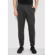 Спортивні штани чоловічі, колір темно-сірий, 238R122