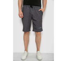 Шорты мужские, цвет грифельный, 241R1622-1.