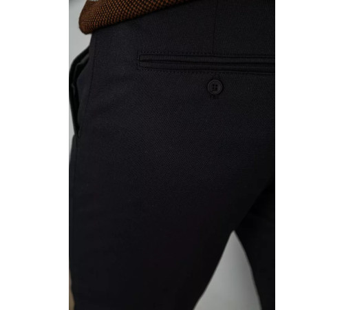 Брюки мужские классические, цвет черный, 244RFH305-1.