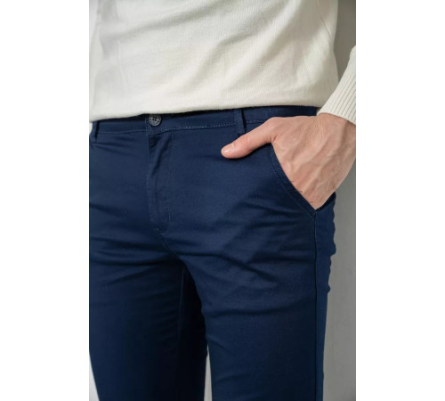 Брюки мужские, цвет темно-синий, 244R4203.