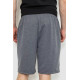 Шорти чоловічі, колір сірий, 244R6598