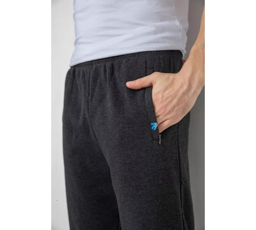 Спортивные мужские штаны на флисе, цвет темно-серый, 244R41326