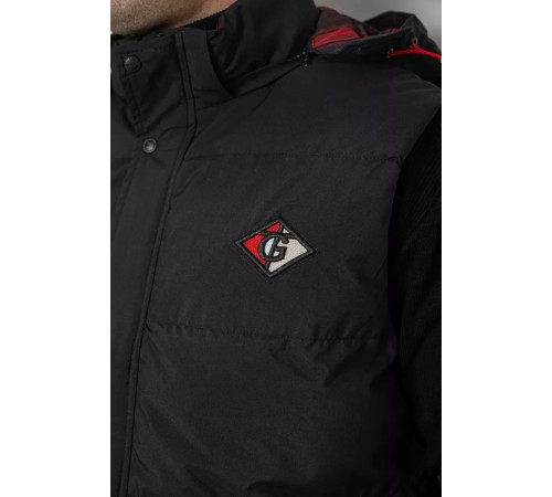 Жилетка чоловіча демісезонна, колір чорний, 244R99007