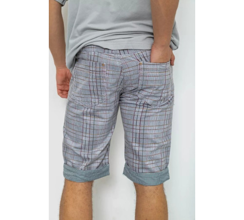 Шорты мужские в клетку, цвет серый, 244R31-222