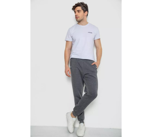 Спортивні штани чоловічі на флісі, колір сірий, 244R41003