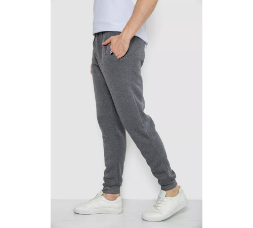 Спортивні штани чоловічі на флісі, колір сірий, 244R41003