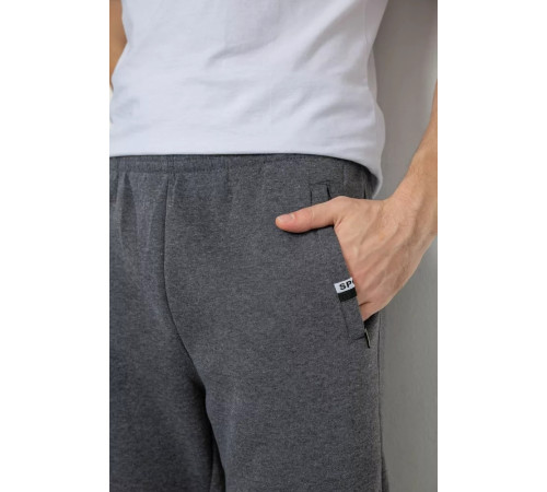 Спортивні штани чоловічі на флісі, колір сірий, 244R41003