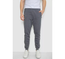 Спортивні штани чоловічі на флісі, колір сірий, 244R41003