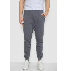 Спортивні штани чоловічі на флісі, колір сірий, 244R41003