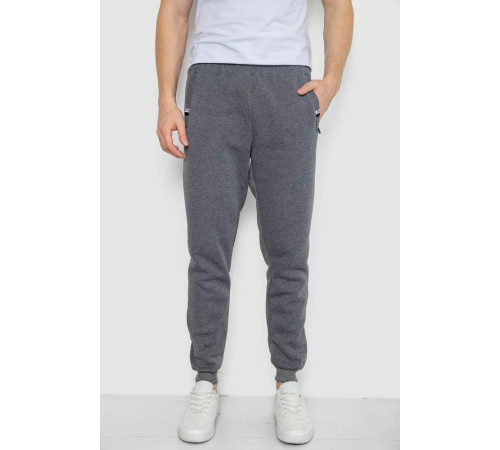 Спортивні штани чоловічі на флісі, колір сірий, 244R41003