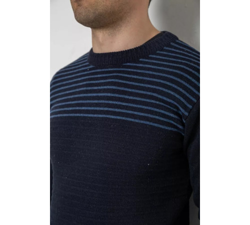 Светр чоловічий в смужку, колір темно-синій, 161R1029