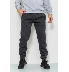 Спорт чоловічі штани на флісі, колір темно-сірий, 244R4740