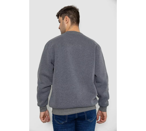 Батник мужской на флисе, цвет серый, 244R2556