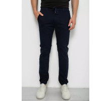 Джоггери чоловічі, колір темно-синій, 244RTE916