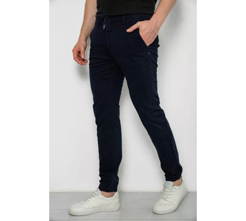 Джоггеры мужские, цвет темно-синий, 244RTE916.