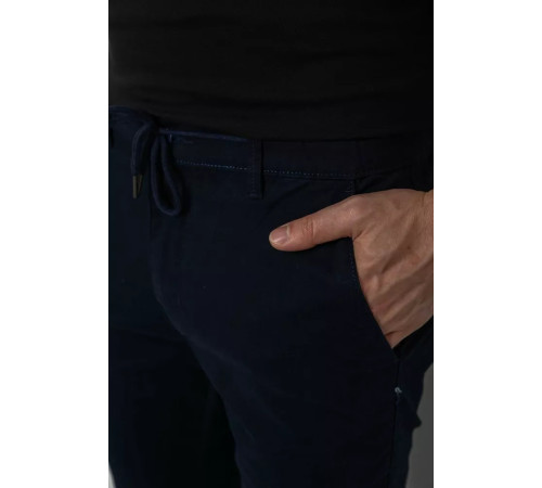 Джоггеры мужские, цвет темно-синий, 244RTE916.