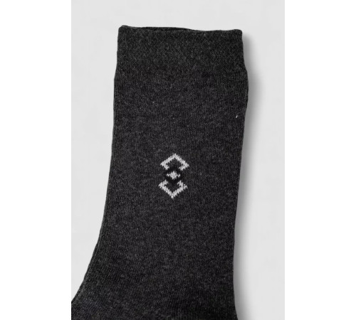 Шкарпетки чоловічі, колір темно-сірий, 238R337-2