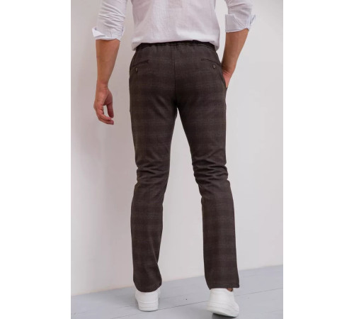Брюки мужские в клетку, цвет коричневый, 194R2210