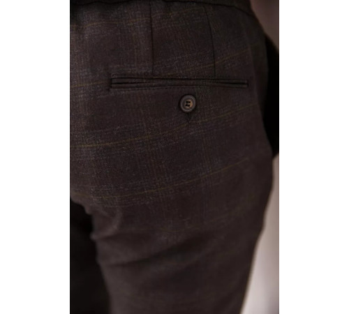 Брюки мужские в клетку, цвет коричневый, 194R2210