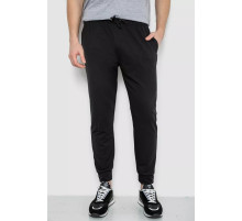 Спортивные штаны мужские демисезонные, цвет черный, 241R0652