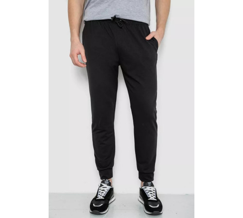 Спортивные штаны мужские демисезонные, цвет черный, 241R0652