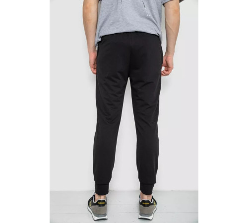 Спортивные штаны мужские демисезонные, цвет черный, 241R0652