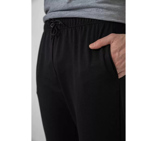 Спортивные штаны мужские демисезонные, цвет черный, 241R0652