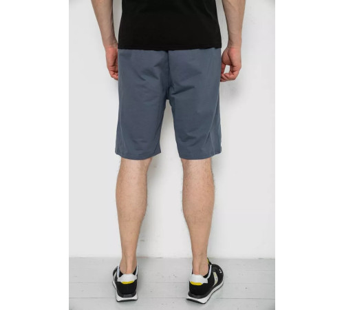 Шорти чоловічі, колір сірий, 238R127