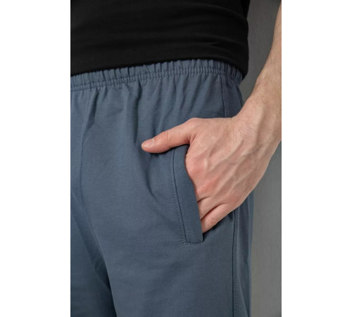 Шорти чоловічі, колір сірий, 238R127