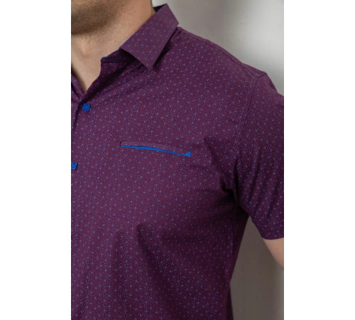 Сорочка чоловіча з принтом, колір сливовий, 214R7332-1