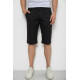 Шорти чоловічі, колір чорний, 244RLS24-0177