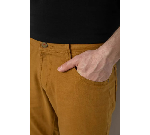 Шорти чоловічі однотонні, колір темно-гірчичний, 238R2485