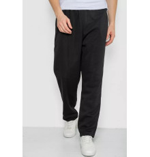 Спортивні штани чоловічі, колір чорний, 244R3849