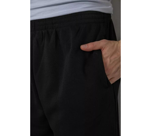 Спортивные брюки мужские, цвет черный, 244R3849