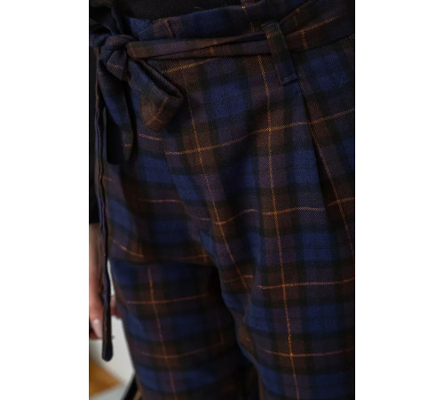 Штани жіночі в клітинку, колір синьо-коричневий, 244R157