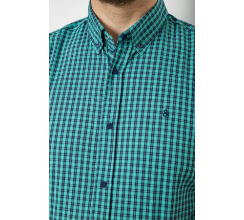 Рубашка мужская в клетку, цвет зеленый, 214R4564-1