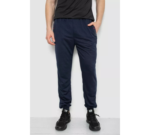 Спорт брюки мужские, цвет темно-синий, 244R41669