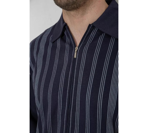 Кофта мужская на молнии в полоску, цвет темно-синий, 238R123.