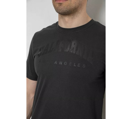 Мужская футболка с принтом, цвет темно-серый, 241R1908