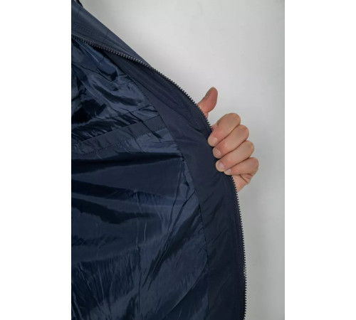 Куртка чоловіча демісезонна з капюшоном, колір темно-синій, 131R2101