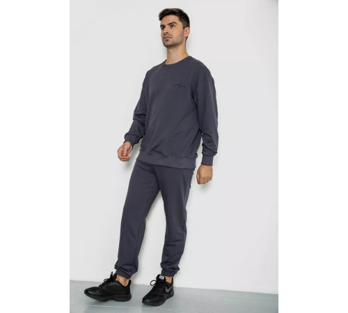 Спортивный мужской демисезонный костюм, цвет серый, 241R176-1