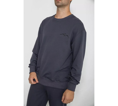 Спортивный мужской демисезонный костюм, цвет серый, 241R176-1