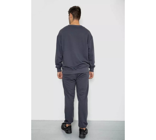 Спортивный мужской демисезонный костюм, цвет серый, 241R176-1